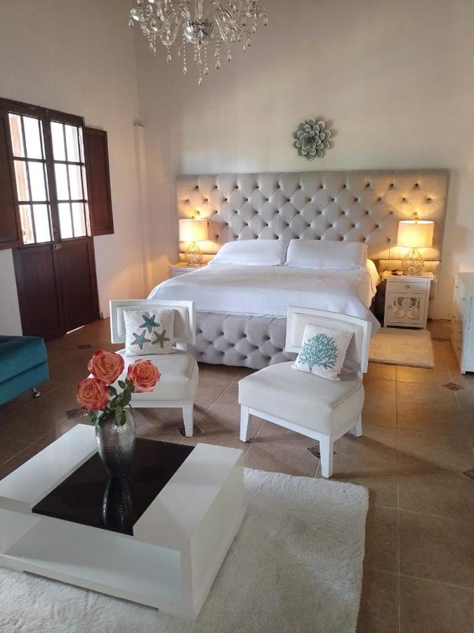 Hotel Colonial Andino - Parque Principal De ピタリト エクステリア 写真