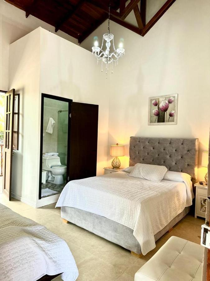 Hotel Colonial Andino - Parque Principal De ピタリト エクステリア 写真